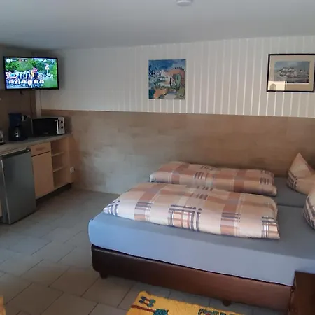 Remise Am Zemminsee Apartment